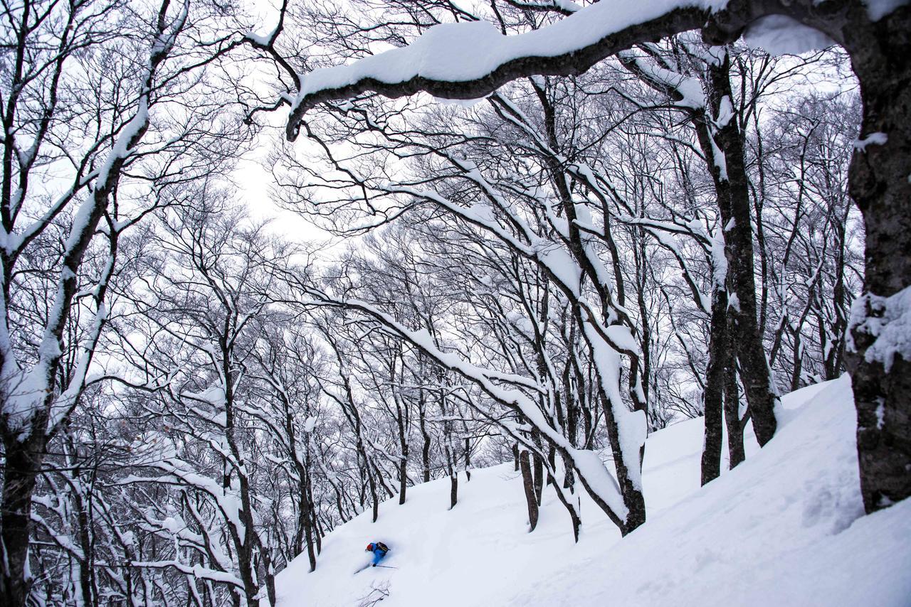 Morino Lodge - Myoko Esterno foto